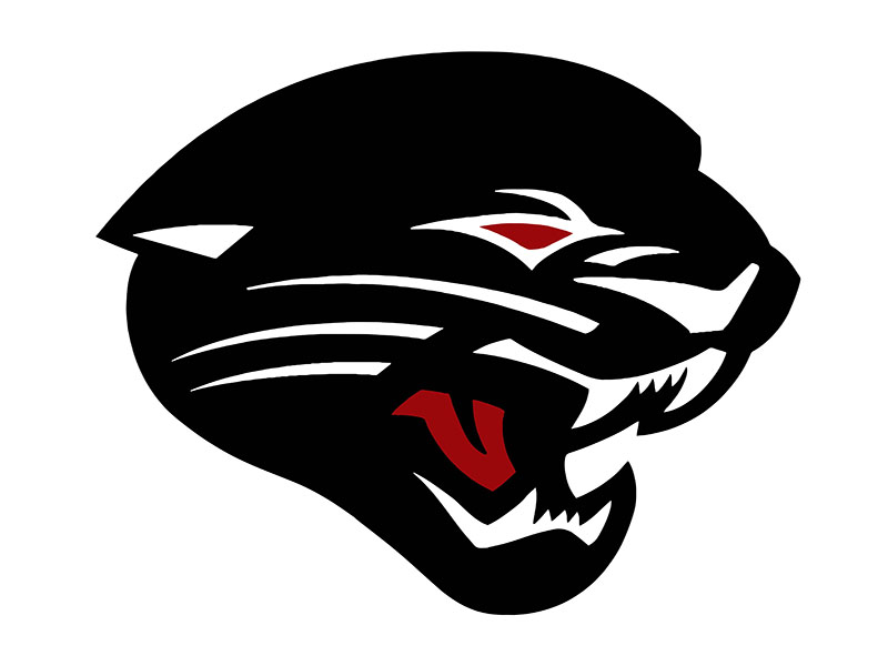 Desert Ridge Jaguar Logo