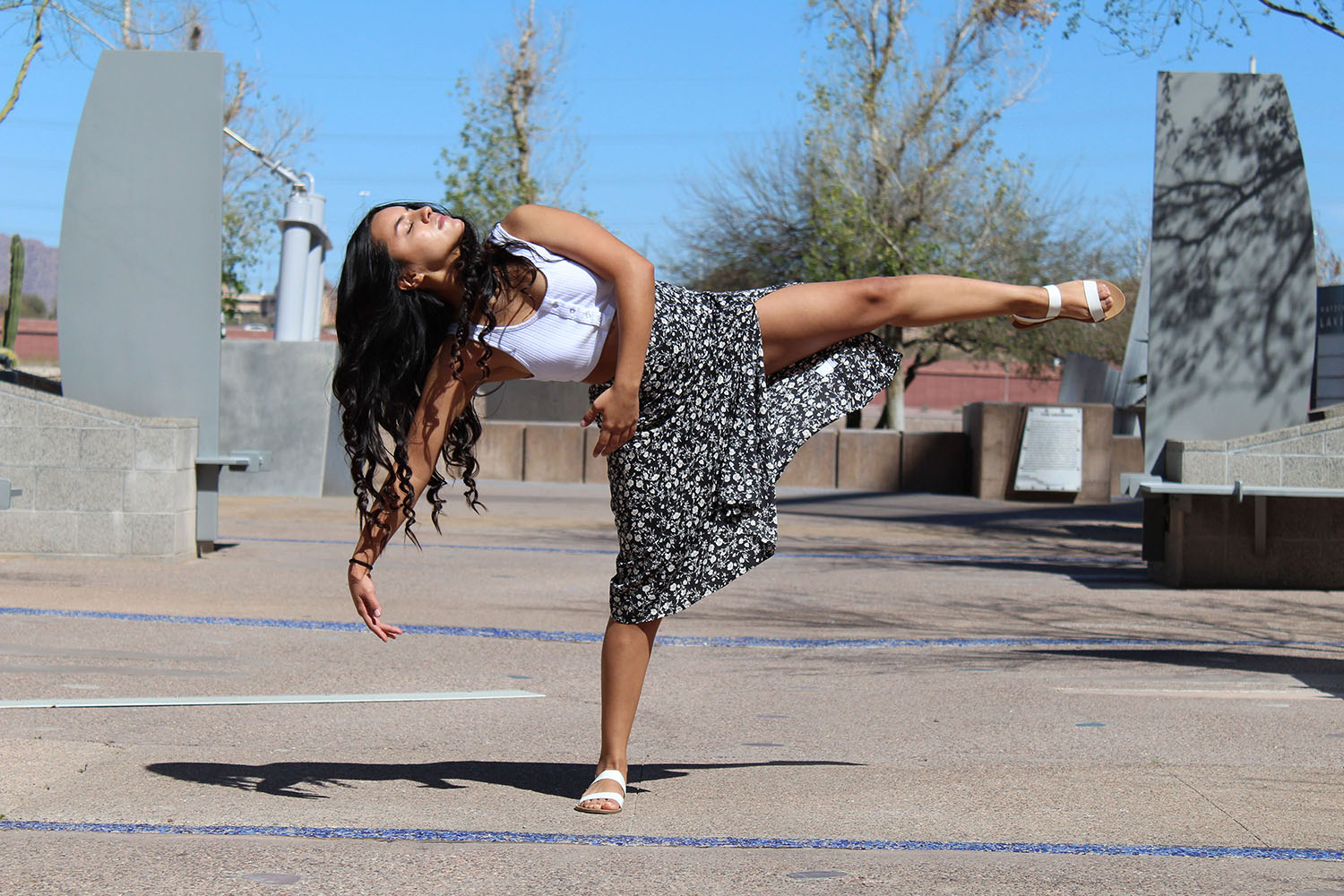 Desert Ridge Dance Team!