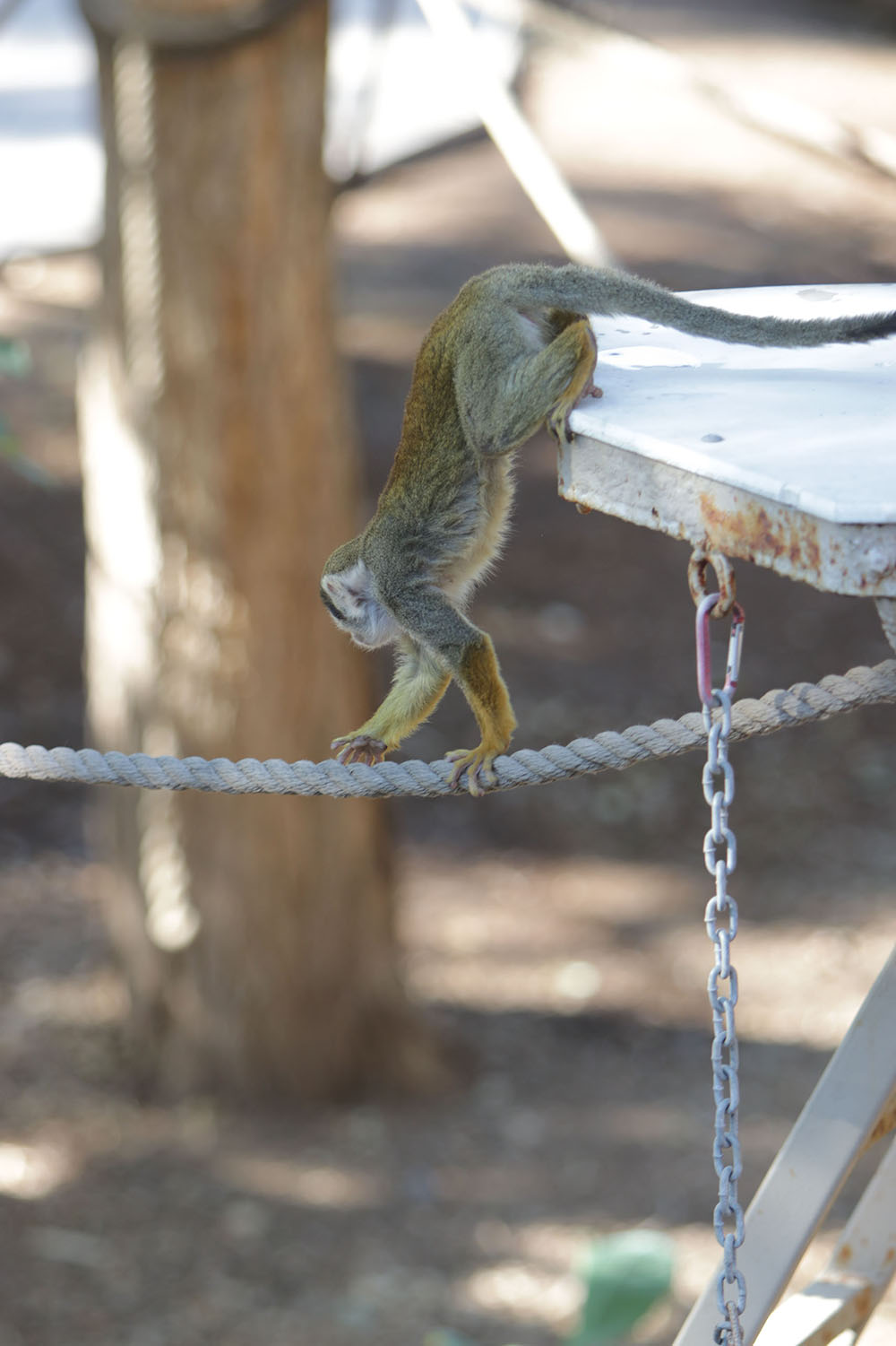 Climbing around