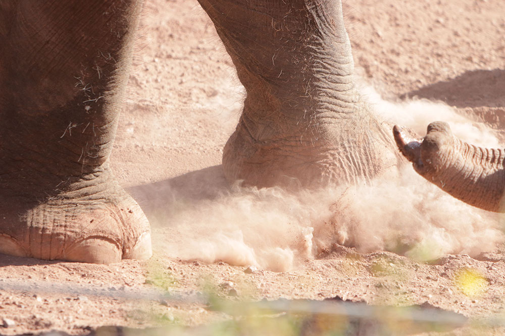 Kicking up dust