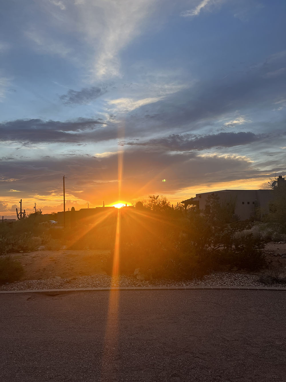 Noelani's picture of the desert sunset