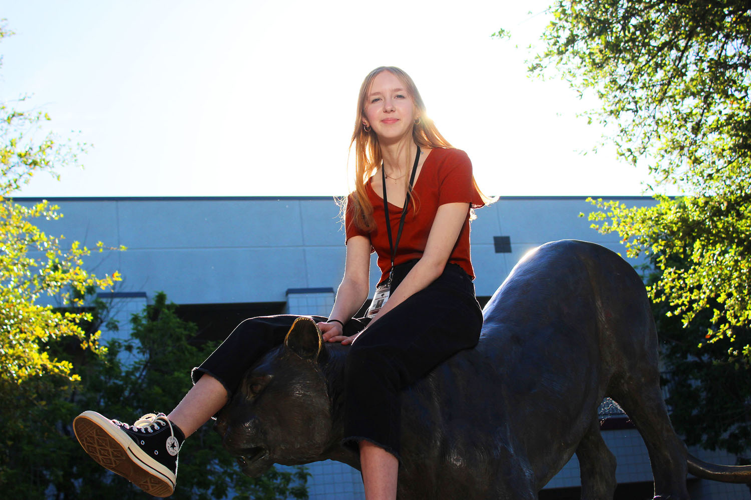 Lizzy on the Jaguar in sunlight