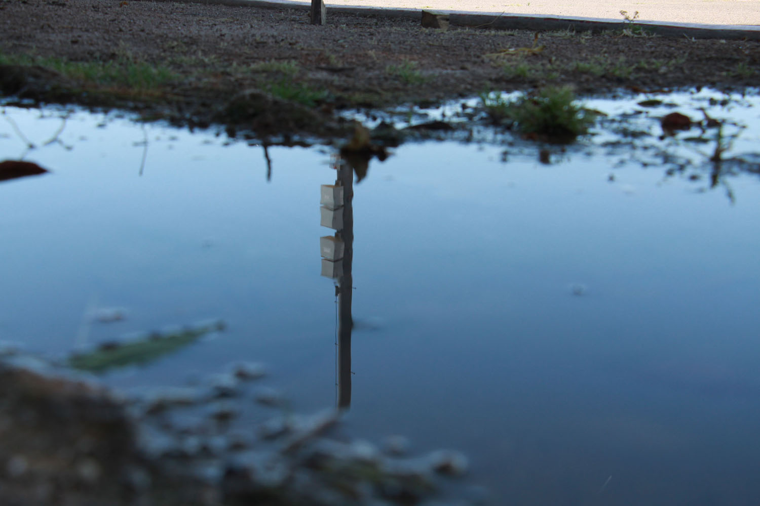 Reflection of light poll in water