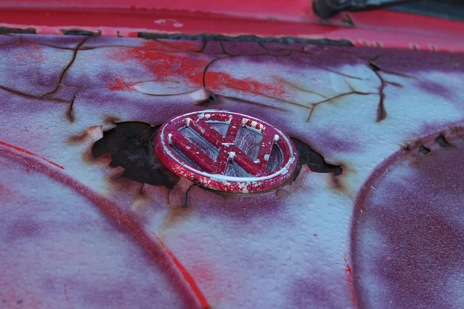 Volkswagon logo worn on a car