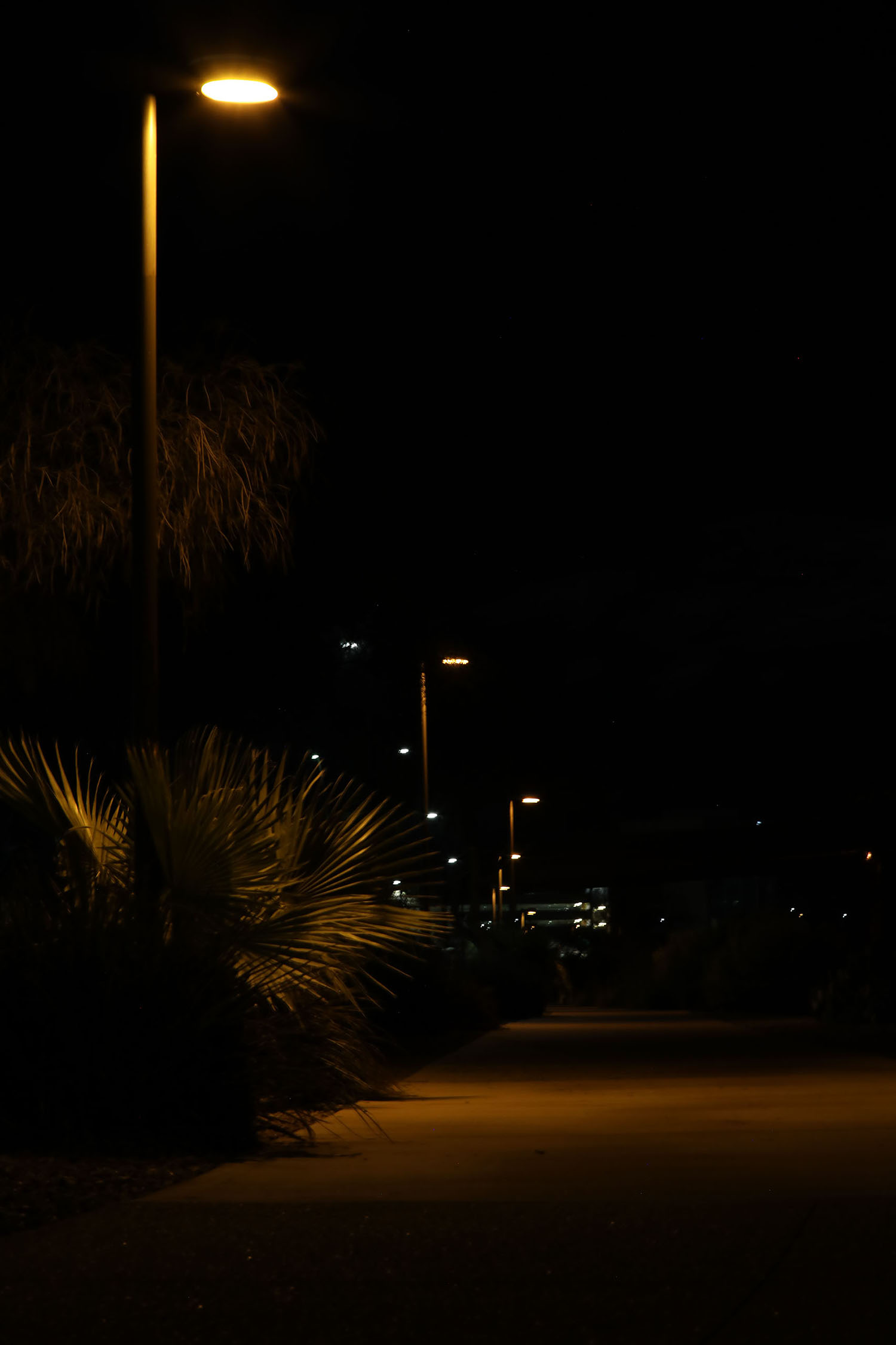 Walking path at night