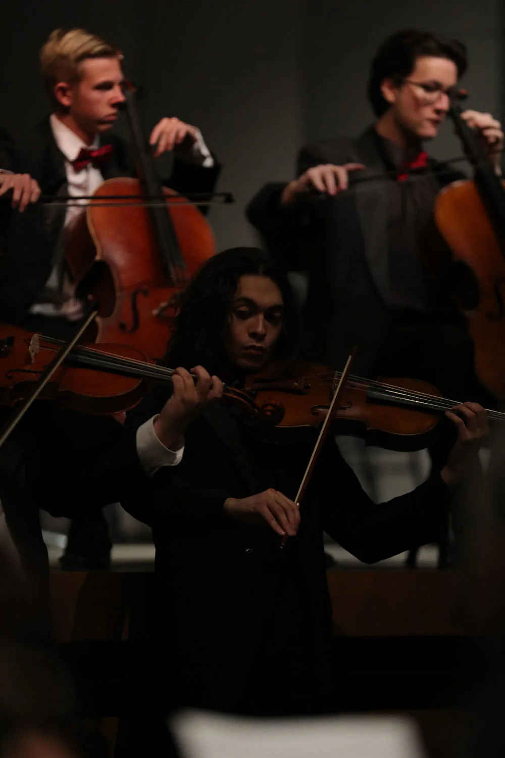 Group playing the strings