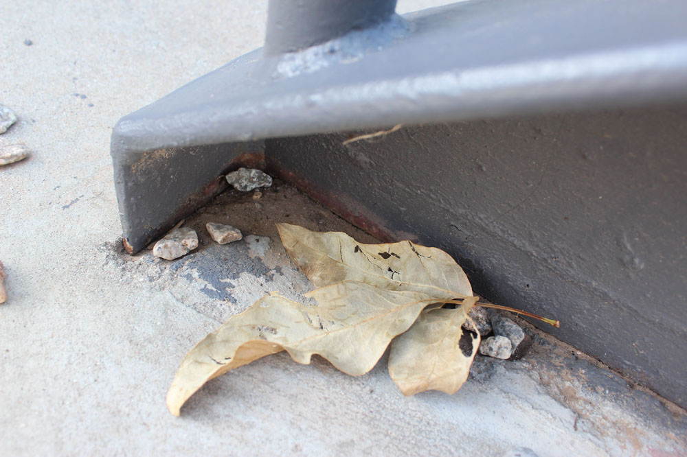 Leaf by the stairs