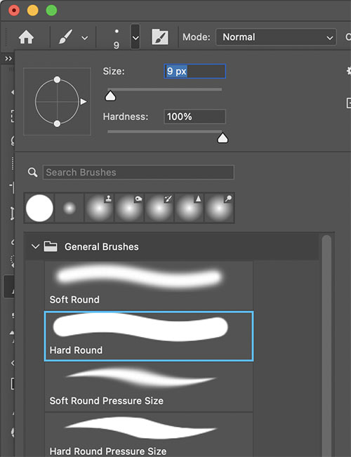 Brush Tool Options