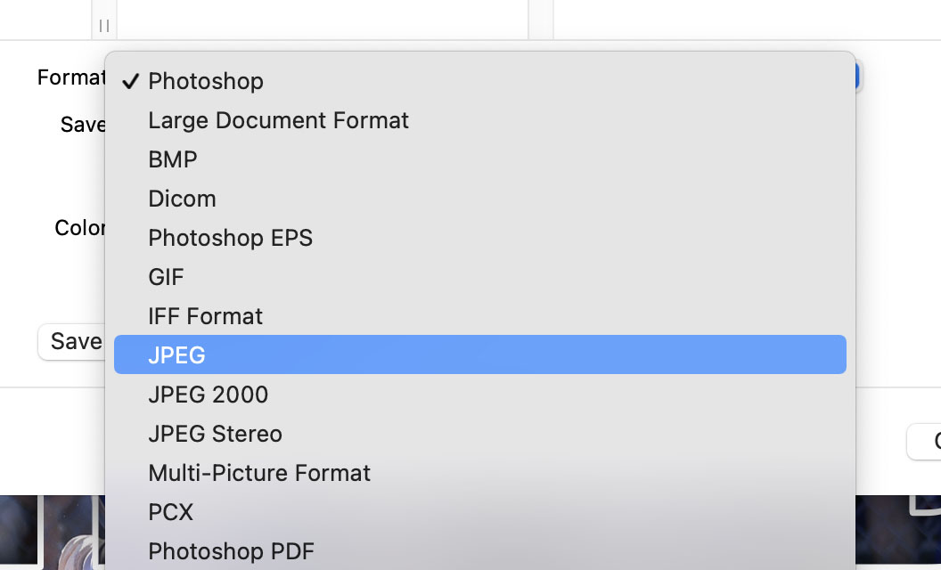 JPEG File Format