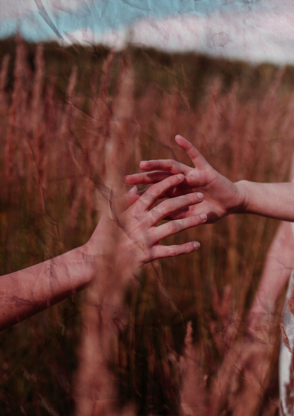 Textured photo of hands in a grassy field