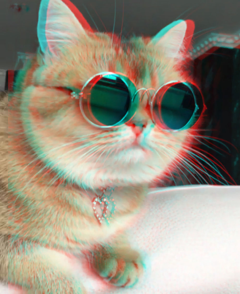 3D cat