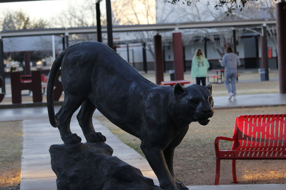 jag in courtyard