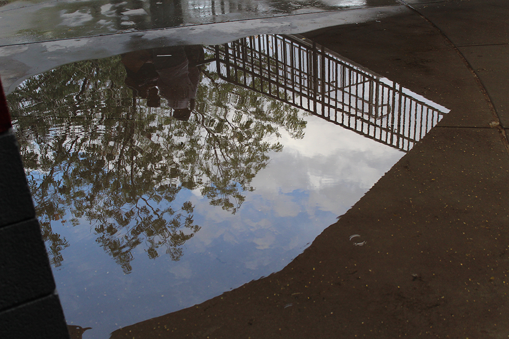 puddle reflection