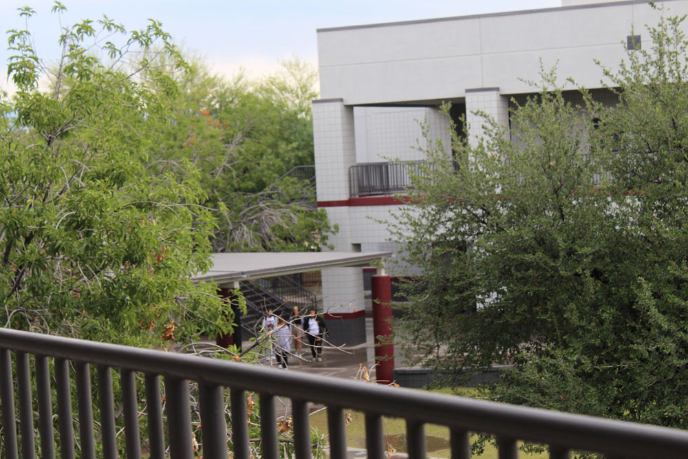 Picture of Courtyard and Trees