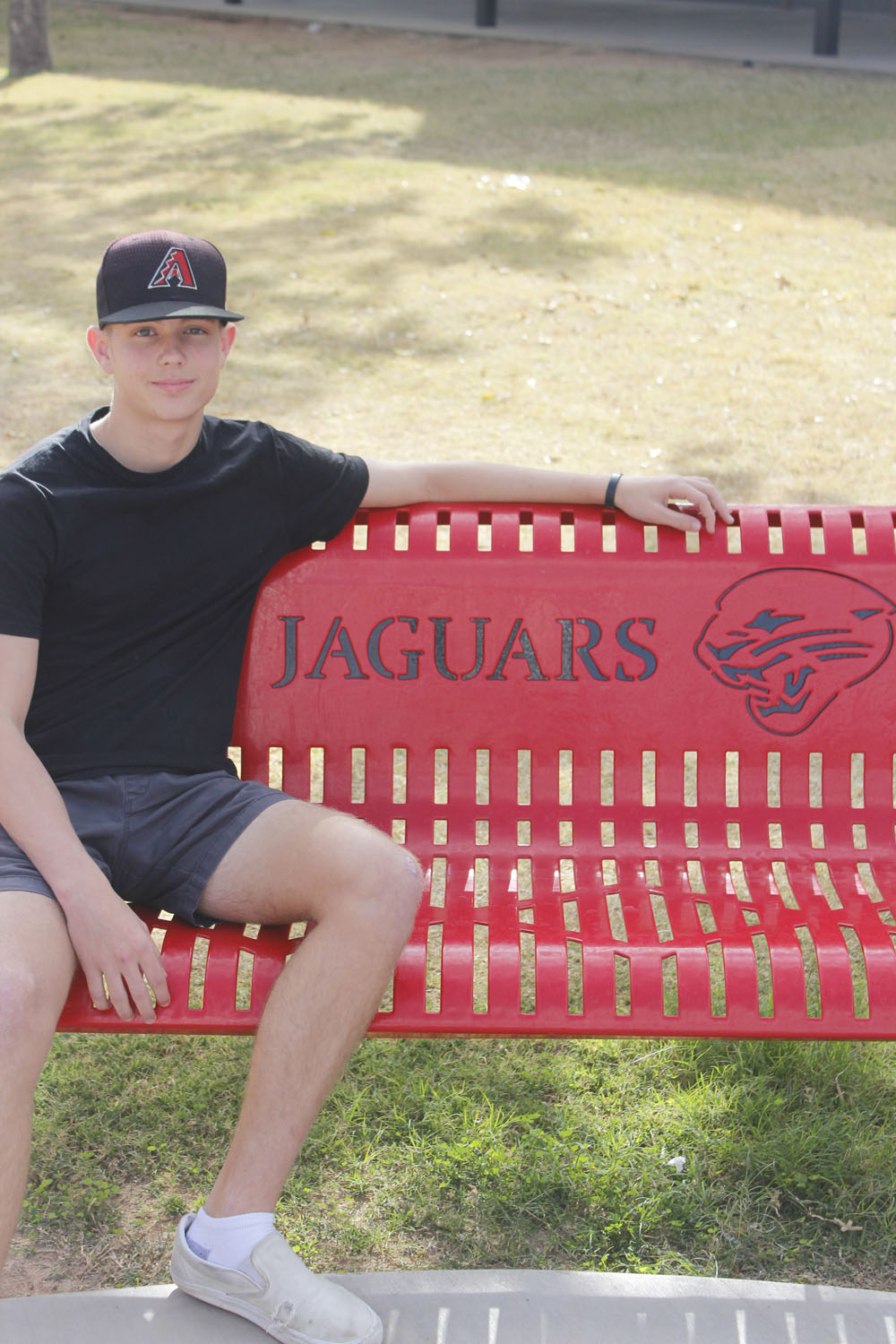 Jaguar Bench