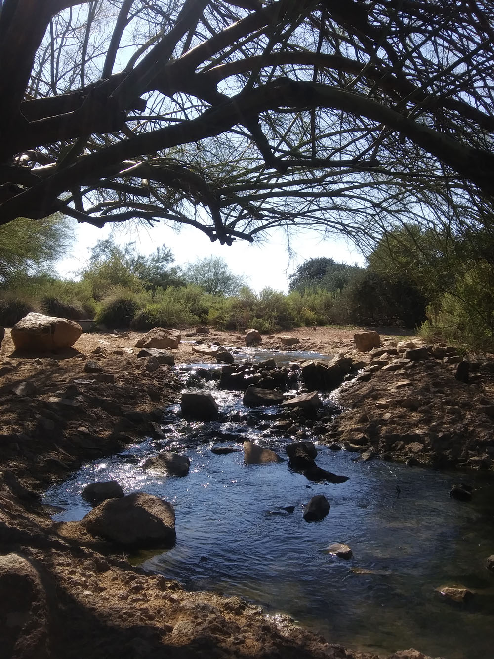 rocks on stream