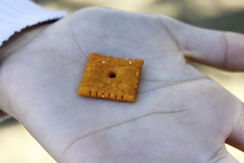 Cheezit