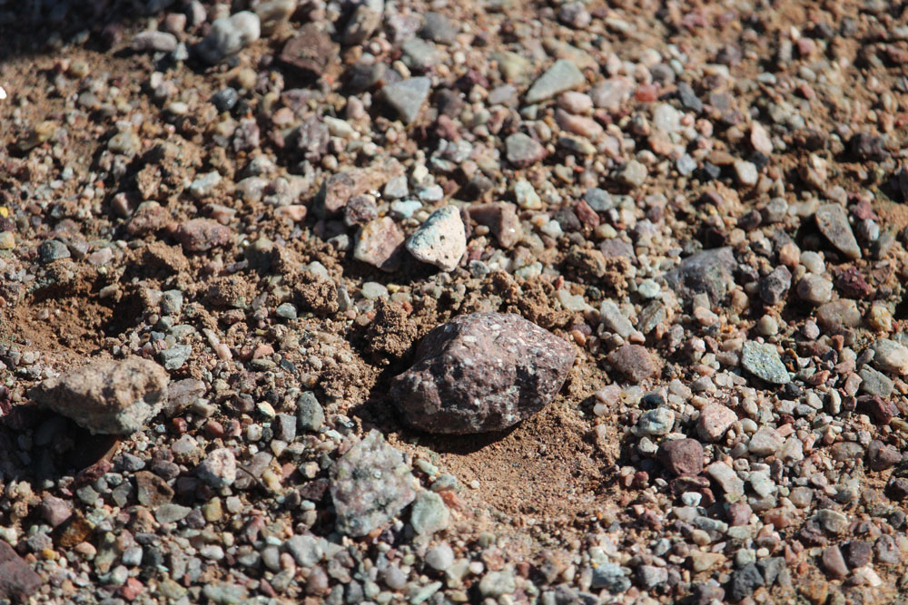 Rocks on the Ground