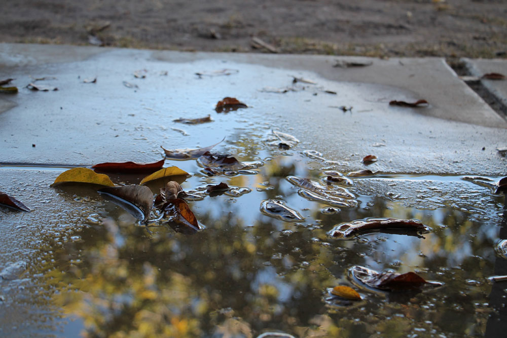 rain-puddle