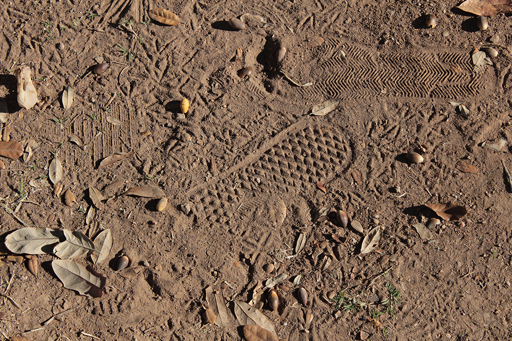 DA shoe print in the dirt.