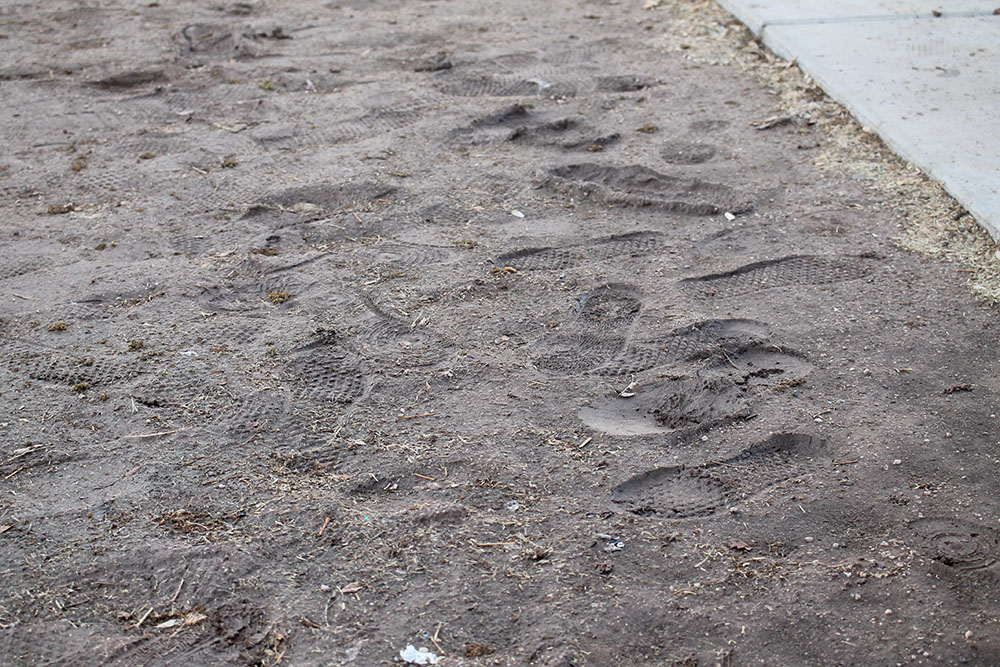 Footprint in Dirt