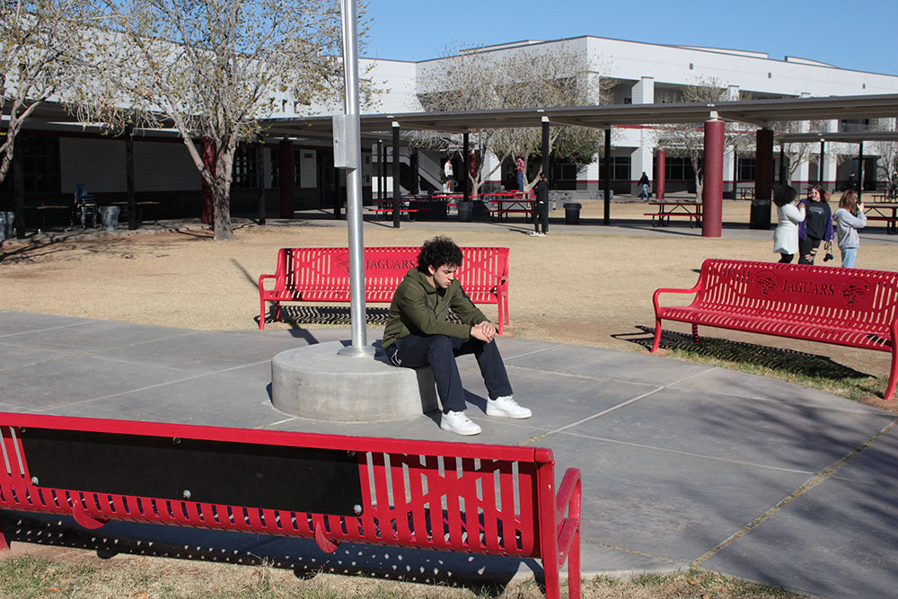 Amoni Sitting on Flagpost