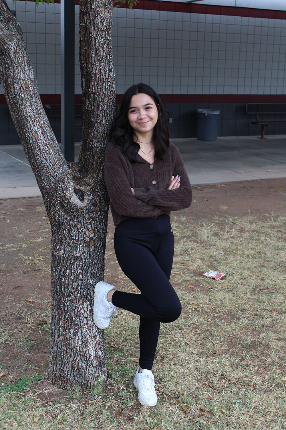 Against the Tree in the Courtyard