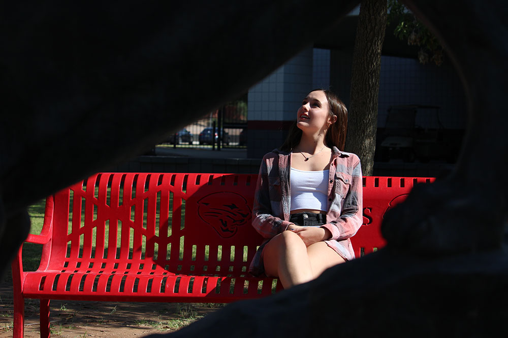 Magenta on a Bench in the Courtyard