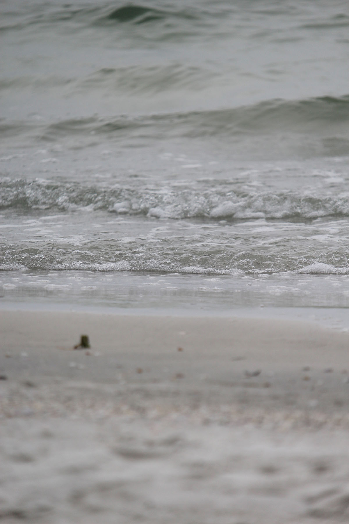 Ava Anderson- Beach