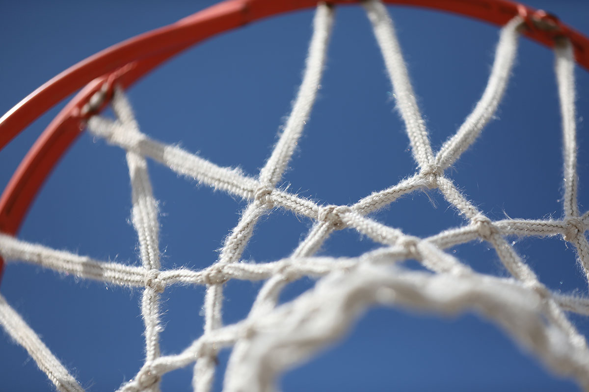 Reese Black Basketball Hoop