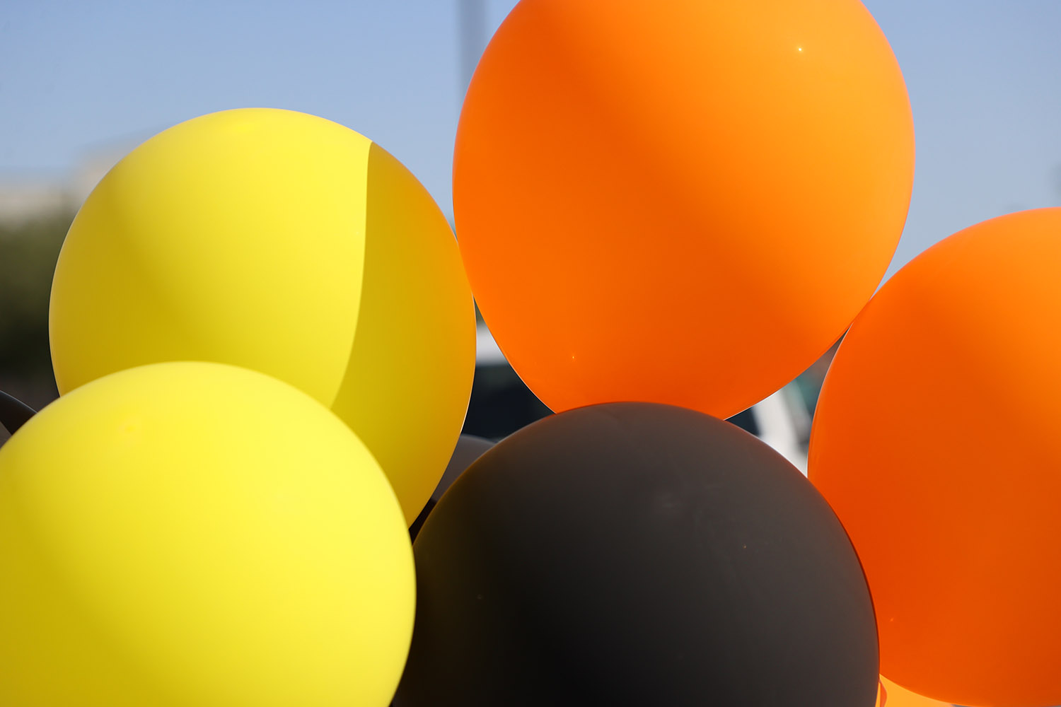 Lucas Balloons
