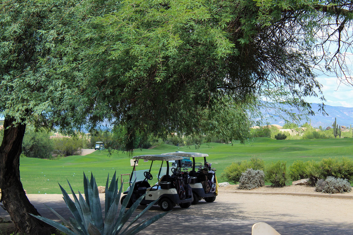 Aidyn Ruiz Golf Course