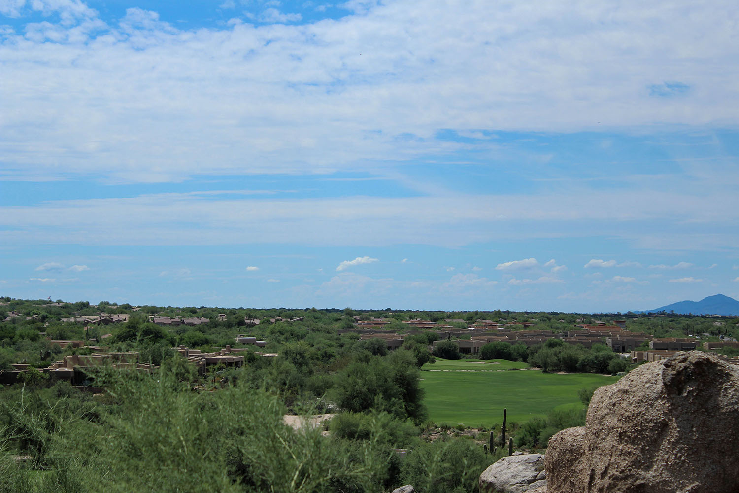 Aidyn Ruiz landscape