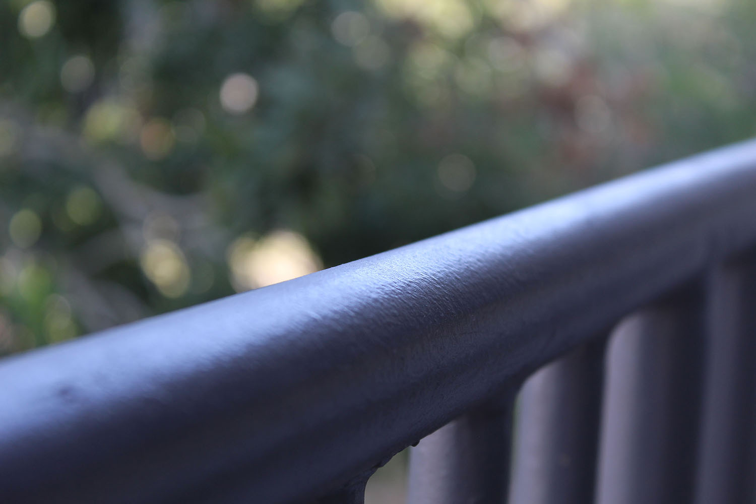 Alexis Sebastian- Railing
