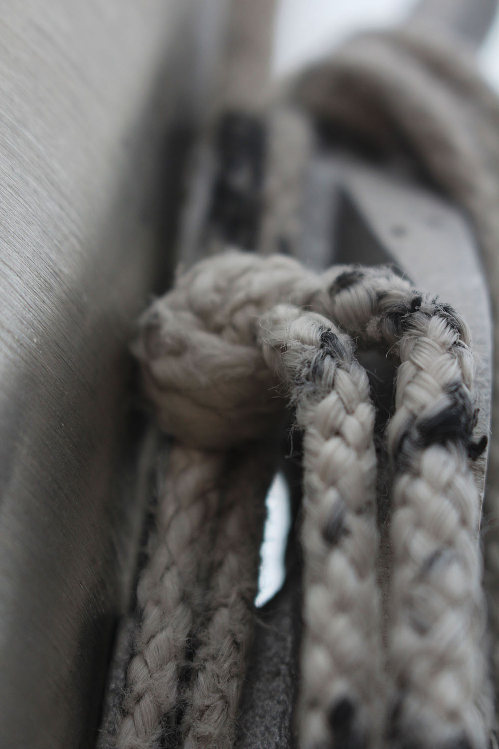 Alexis Sebastian- Rope