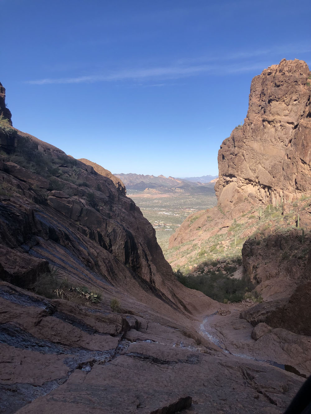 gorgeous flat iron