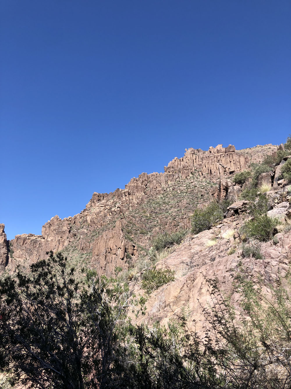 flat iron with tree shadow