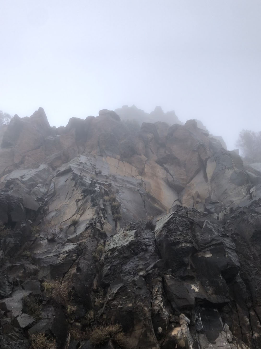 foggy upward view of mountain