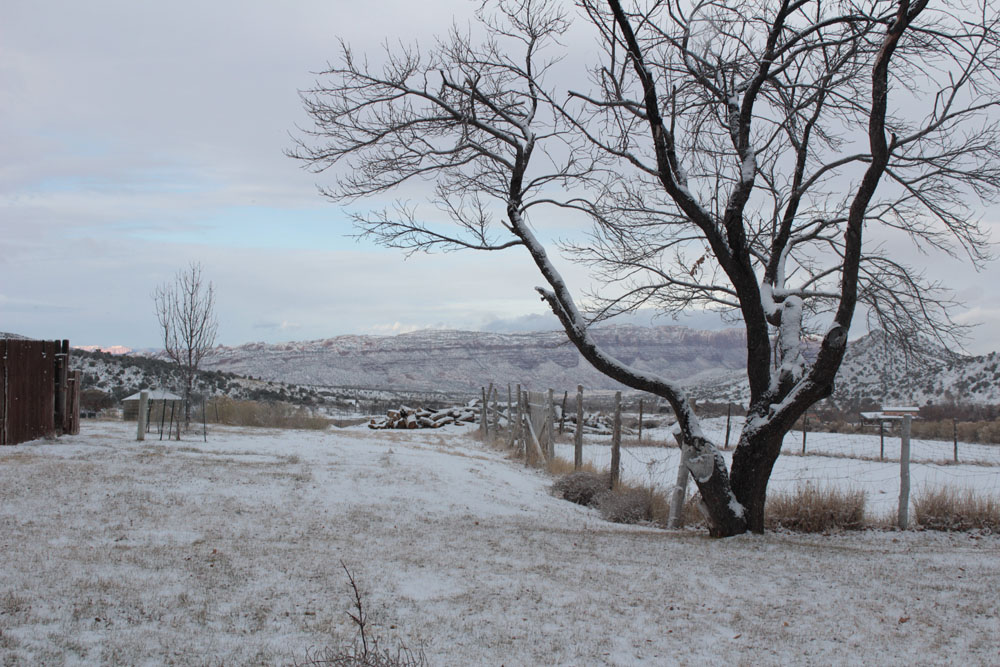 The view from my cabin in Utah after it just snowed.