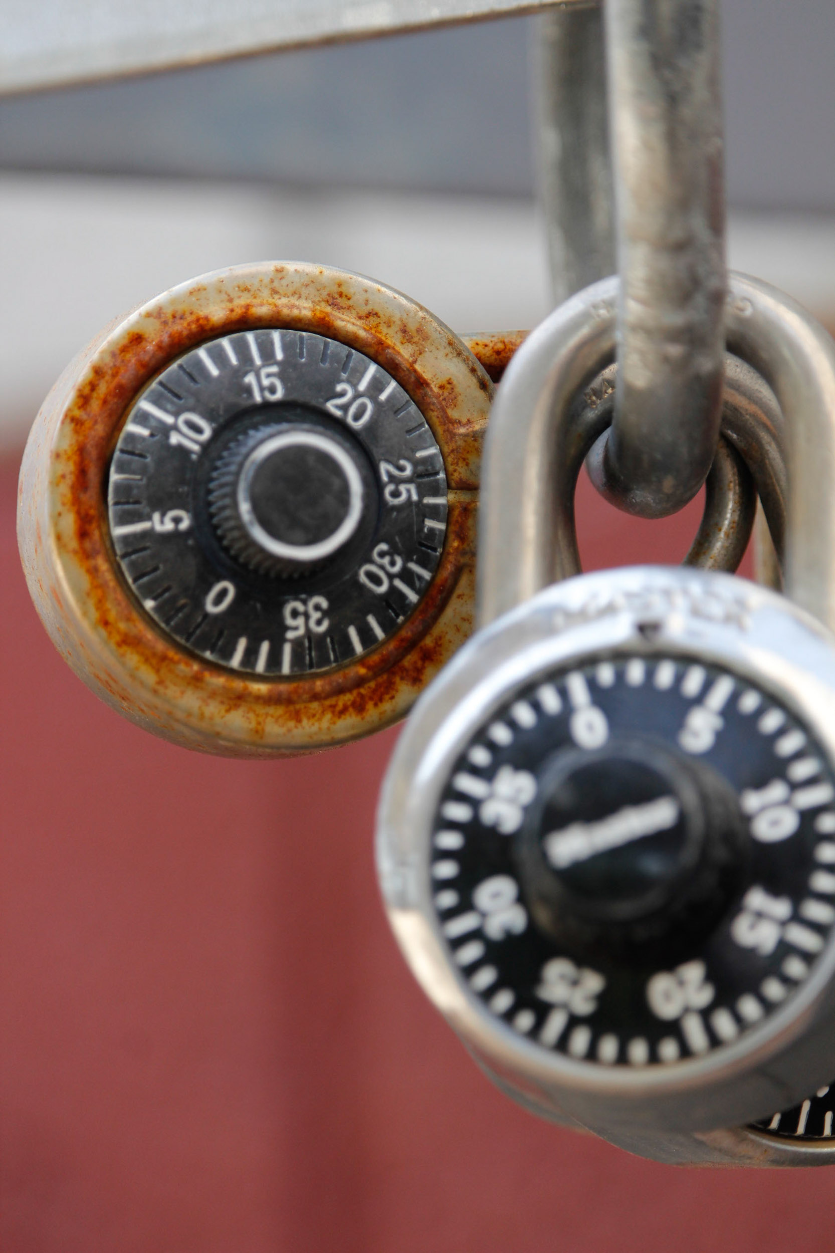 Digital Photo close up- Abby's Locks