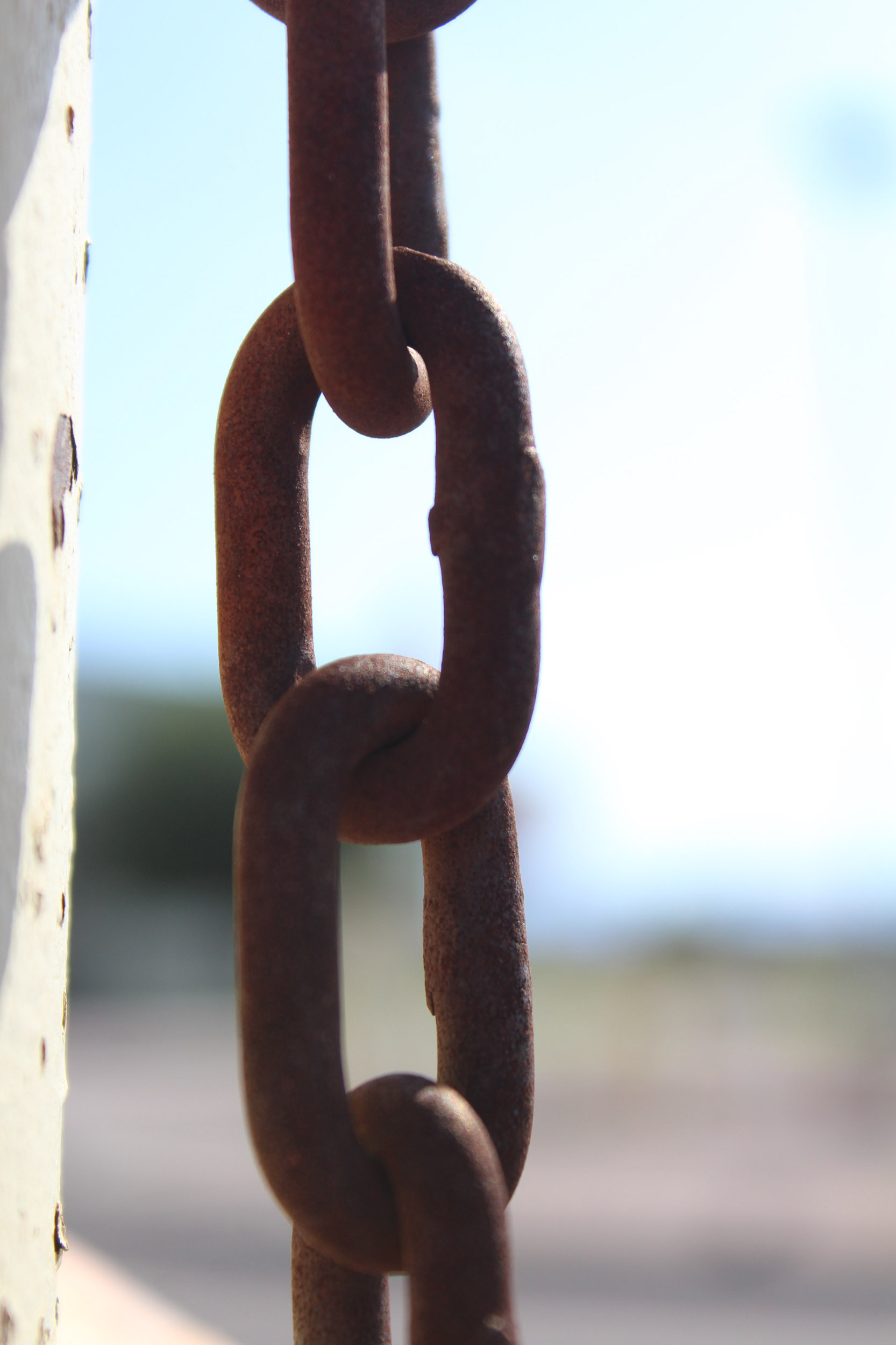 Digital Photo close up- Lucas's Chain