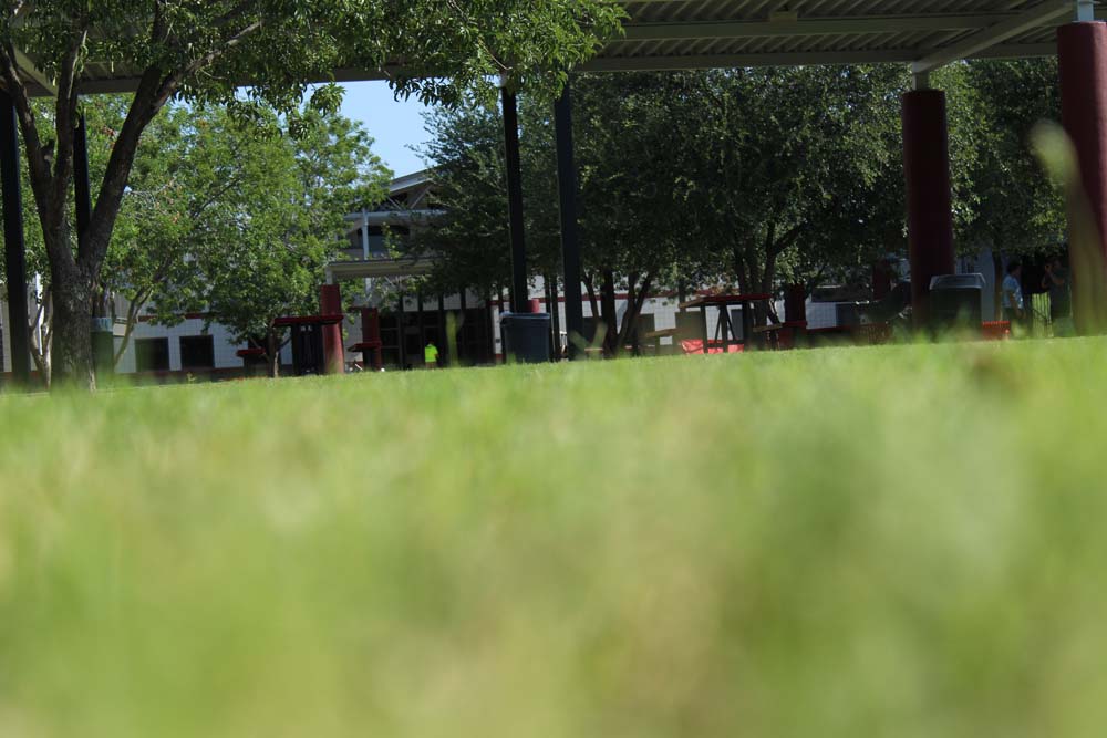 DRHS Courtyard from down low!